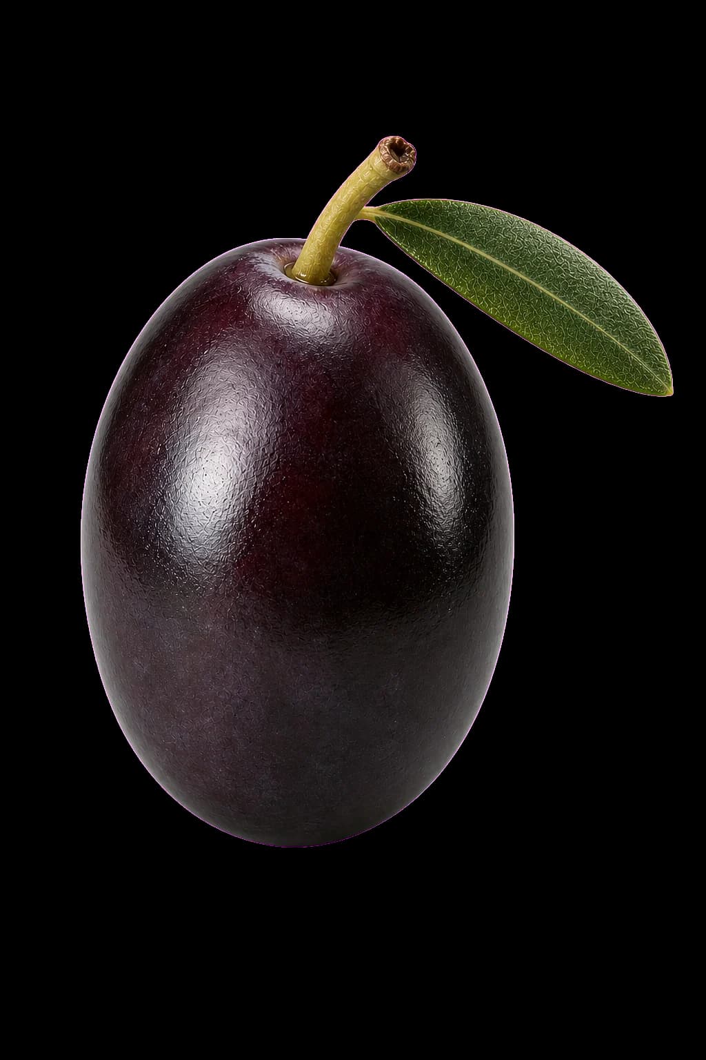Aceituna 3D